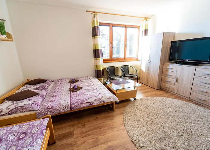 Alex Pensjonat Nová Lesná