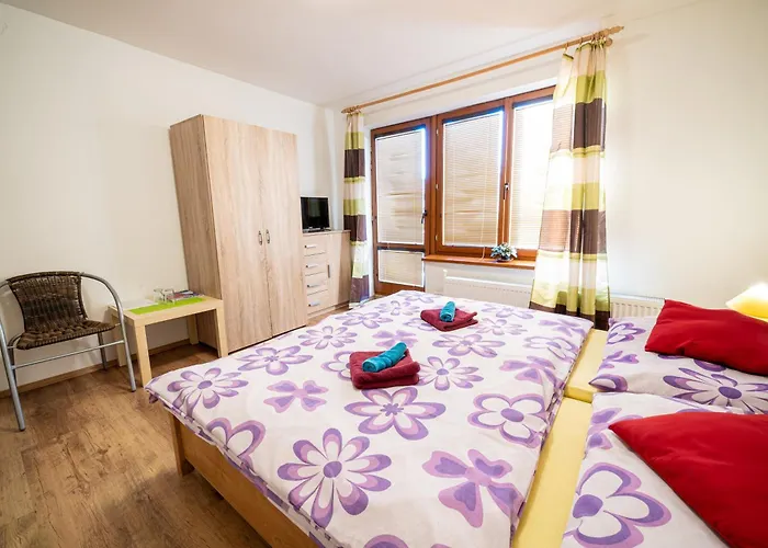 Alex 3* Nová Lesná